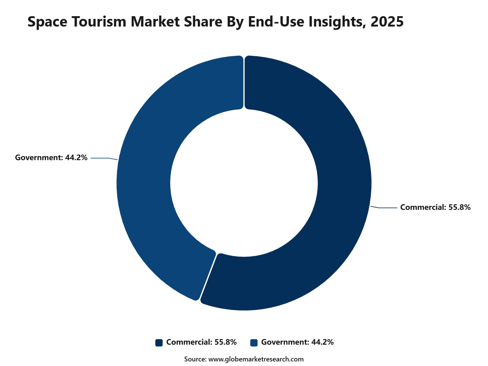 Space Tourism Market Share By End-Use Insights, 2025